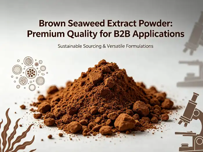 Sourcing High-Alginate Brown Seaweed Extract for Industrial Use